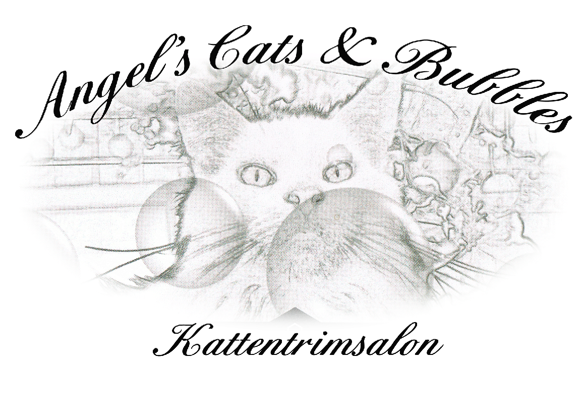 Angel's cats and bubbles